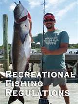 Virginia Saltwater Fishing License Cost Photos