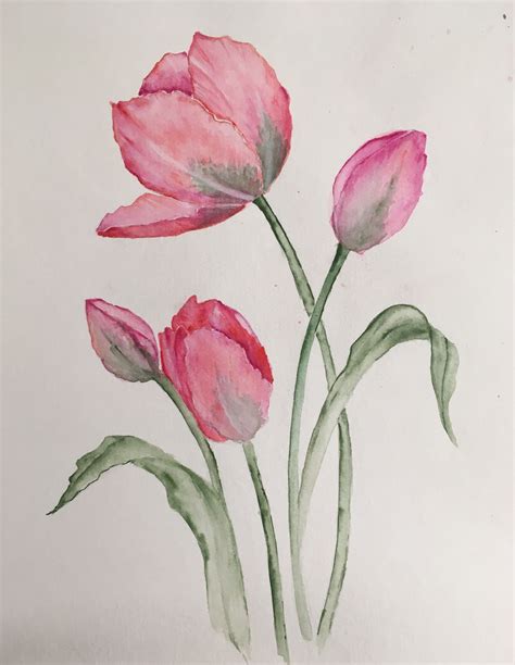 Tulips Watercolor Flower Art Flower Art Painting Floral Watercolor