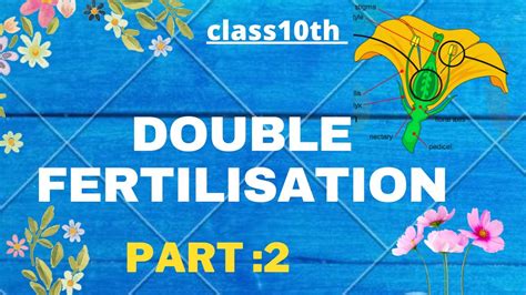 Double Fertilization Class 10th Cbse Part 2 One Shot Series