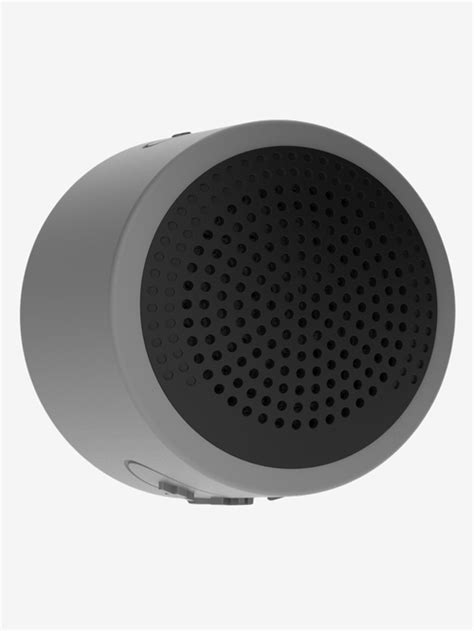 Buy Eleon Chhaya Er2108 8w Bluetooth Speaker With Alexa Grey Online