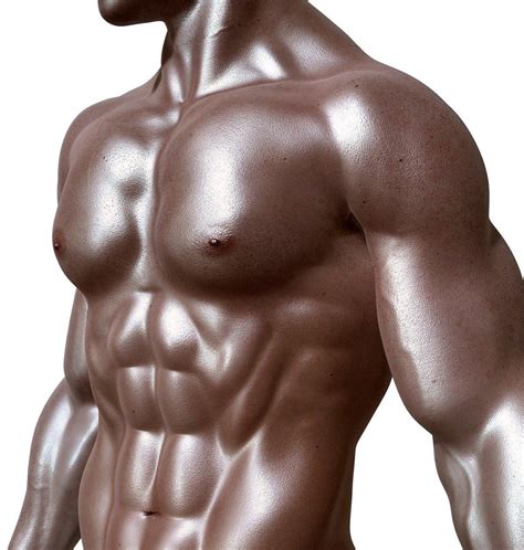 Are 12 Pack Abs Possible Unveiling The Truth About Superhuman Abs Gcelt