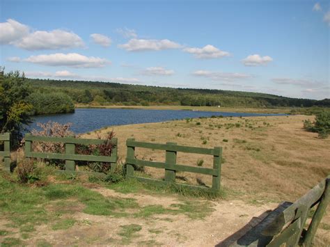 3 297 tykkäystä · 374 puhuu tästä · 9 154 oli täällä. Natuurgebied Bergerven | Wandelen - wandelroutes