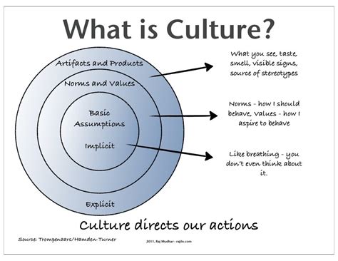 What Is Culture What You