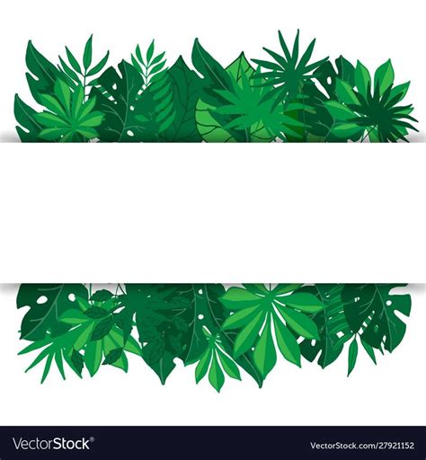 tropical palm leaves banner vector illustration green exotic foliage with palm leaves and