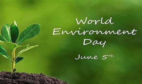 World environment day 2020 is celebrated every year on 5 june. World Environment Day, 2020 - Lucian Hodoboc