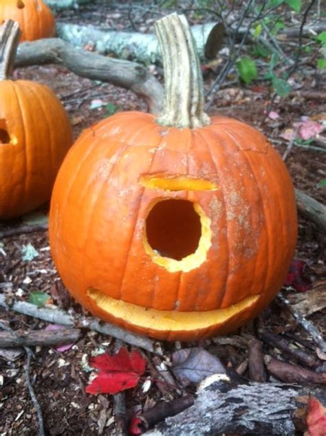 Pumpkin Carving Ideas For Halloween 2012