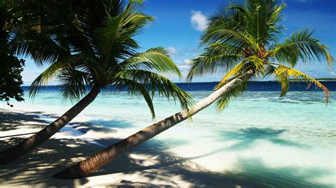 Maldives 4k Holidays Vacation Travel Hotel Island Ocean