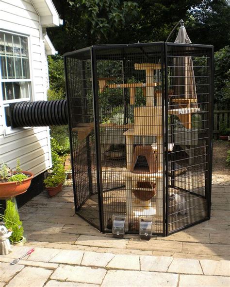 Diy Cat Toys Outdoor Cat House Outdoor Cats Indoor Outdoor Outdoor Ideas Cat Tunnel Outdoor