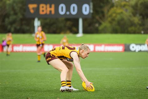Vflw Round 4 Match Preview Box Hill Hawks