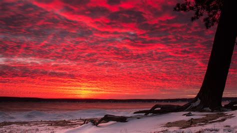 2560x1440 Sunset Snow Tree 1440p Resolution Wallpaper Hd Nature 4k