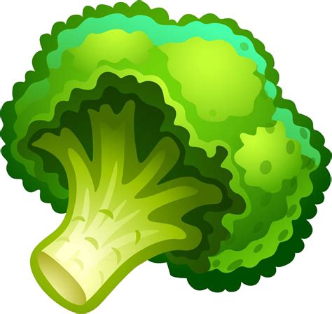 Broccoli Png Transparent Image Download Size 975x922px
