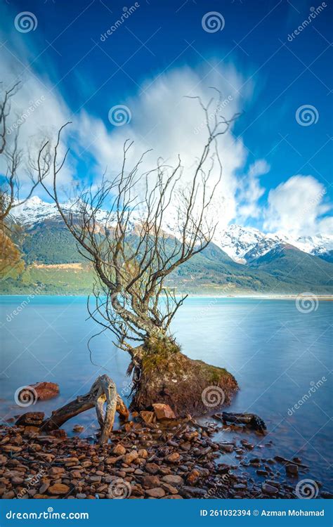 The Iconic Willow Trees Of Glenorchy Taken During Sunrise At Glenorchy