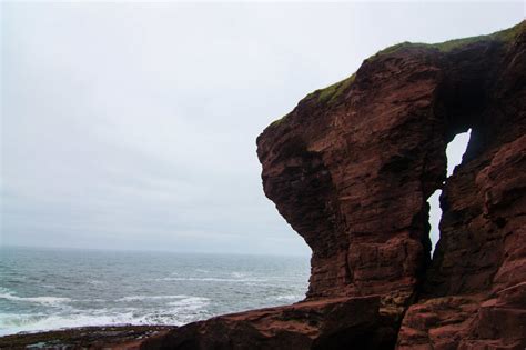 Rock Climbing In Arbroath Sea Cliffs United Kingdom