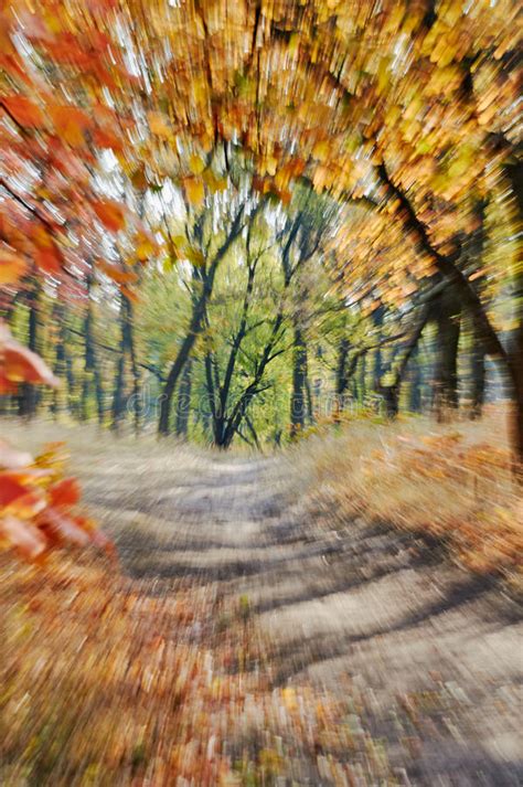 Check spelling or type a new query. Autumn. Motion Zoom Blurred Abstract Background Stock ...