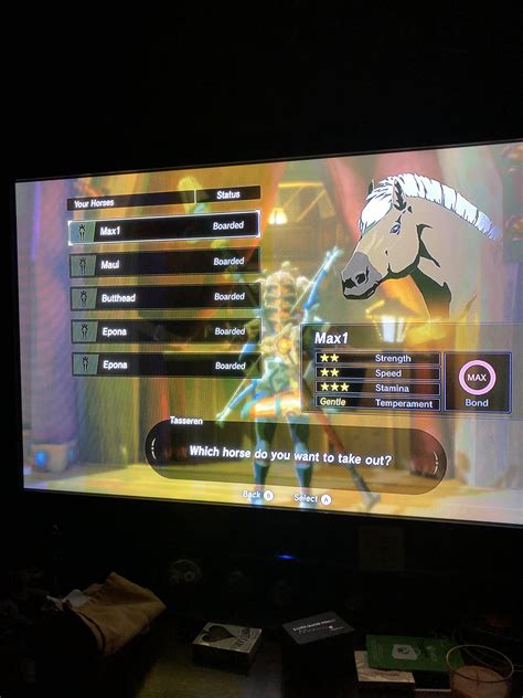 Epona is the legendary horse main! 2 Epona? Pardon the pic. : botw