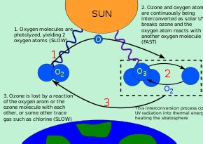 Begitu tipisnya lapisan ini, jika coba dikompresi dengan tekanan udara di permukaan laut, lapisan ozon hanya setebal 3 mm. Penipisan ozon - Wikipedia bahasa Indonesia, ensiklopedia ...