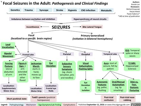 Focal Seizures In The Adult Pathogenesis And Clinical Findings