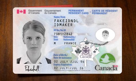 Fake Alberta Canada Driver License Buy Fake Id And Driver License Online
