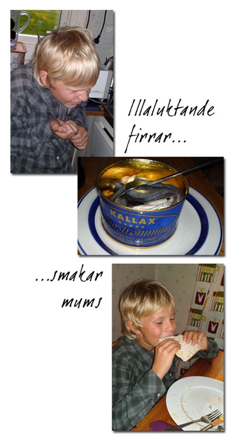 Surströmming, состоит из слов sur и strömming. Candygirl » Surströmming