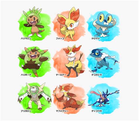 This regional pokédex however, is larger than before and so requires separation into three different subcategories. Pokemon Kalos Starters Evolutions, HD Png Download - kindpng
