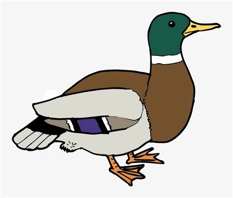 Free Clipart Free Clip Art Duck Transparent PNG 800x760 Free