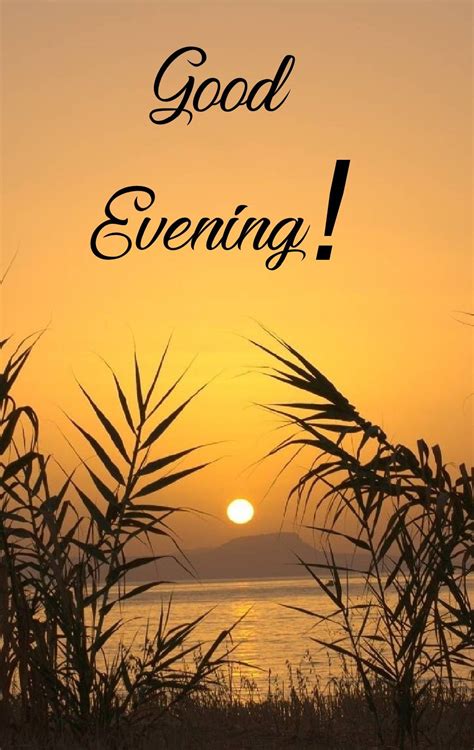 good evening photos good evening love good evening messages good evening wishes good evening