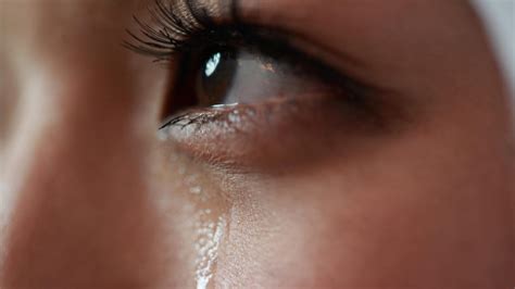 Scientists Grow Human Tear Glands In A Lab And Actually Make Them Cry