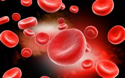 Red blood cells carry oxygen from your lungs to your tissues. Red blood cells Structure | Their Source and Functions