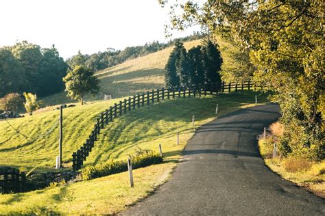 Things To Do In The Byron Bay Hinterland Frugal Frolicker