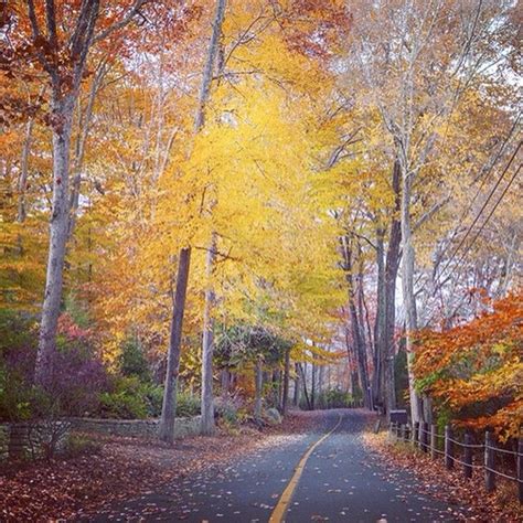 Now Is The Time To Take A Fall Foliage Drive Through Connecticut Before