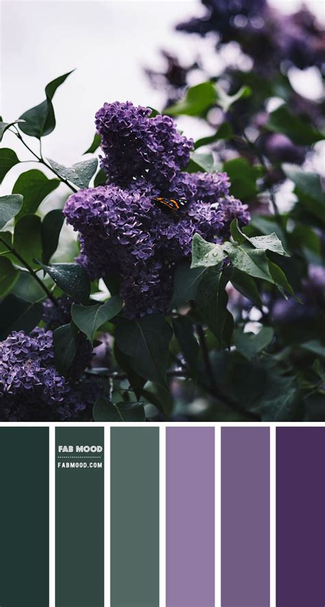 Green And Purple Colour Combination Colour Palette 138 Purple Color