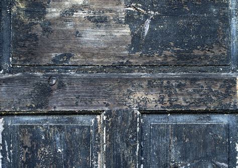 Add to this moisture warm temperatures and mold spores (which are always in the air), and it's the perfect storm for a mold infestation. Steps: How to Kill Mold on Wood - The Basic Woodworking