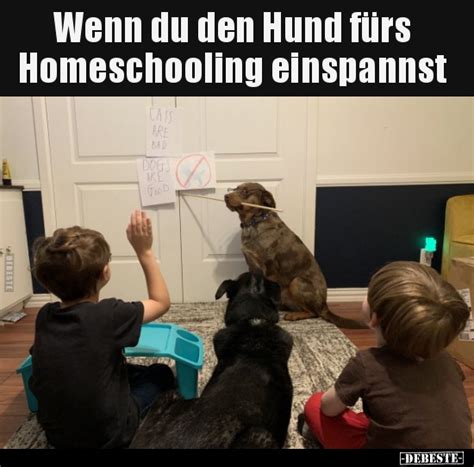 Hier findest du gesammelte, handselektierte lustige sprüche und zitate aus dem fernsehen und der ganzen welt. Wenn du den Hund fürs Homeschooling einspannst.. | Lustige ...