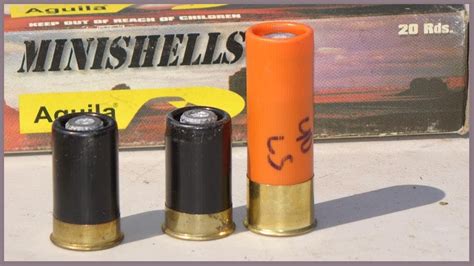 20 Year Old Aguila Minishell Tiny Shotgun Slugs Ballistic Testing 459