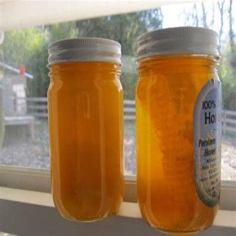 How To Reliquify Crystallized Honey Mother Earth News