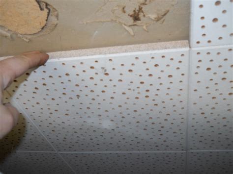 Asbestos ceiling tiles are usually light in color. Asbestos — Sterling Home Inspections