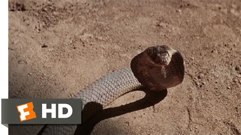 The Naked Prey (6/9) Movie CLIP - Snakes in the Desert (1966) HD - YouTube