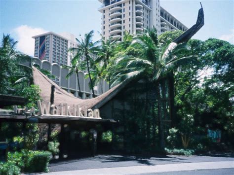 Tiki Bar Waikikian Hotel Mytikilife