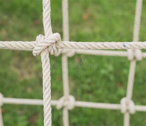 Rope Tied In A Knot Stock Image Image Of Studio Strong 76791741