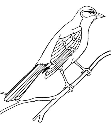 Mockingbird coloring page - Animals Town - animals color sheet