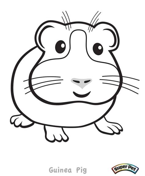 We have collected 36+ realistic guinea pig coloring page images of various designs for you to color. Cute Guinea Pig Coloring Pages at GetColorings.com | Free ...