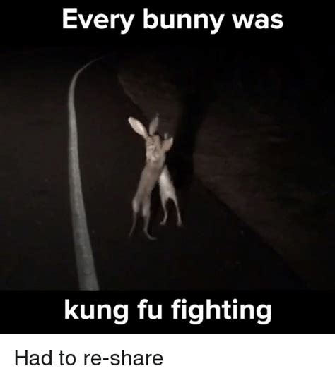 Every Bunny Was Kung Fu Fighting Had To Re Share Bunnies Meme On Meme