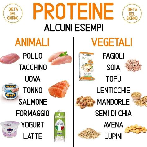 Alimenti Con Proteine Animali Proteine Animali E Vegetali Differenze
