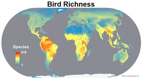 Mapping The Worlds Biodiversity