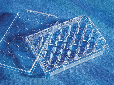 Costar® 24 Well Clear Tc Treated Multiple Well Plates Bulk Pack Sterile Quality Biological