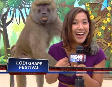 baboon gropes shocked tv reporter s breast during live shot before giving the cameras a wide