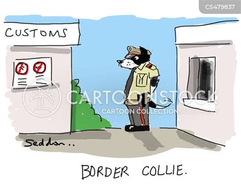 Border Collie Cartoons And Comics Funny Pictures From Cartoonstock