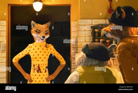 Fantastic Mr Fox Year 2009 Director Wes Anderson Animation Based Upon Roald Dahl S Novel