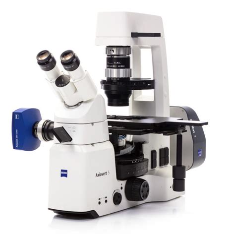 Inverted Microscope Axiovert 5 Tl Fl Scb F Ph12 Dic Fl Appleton
