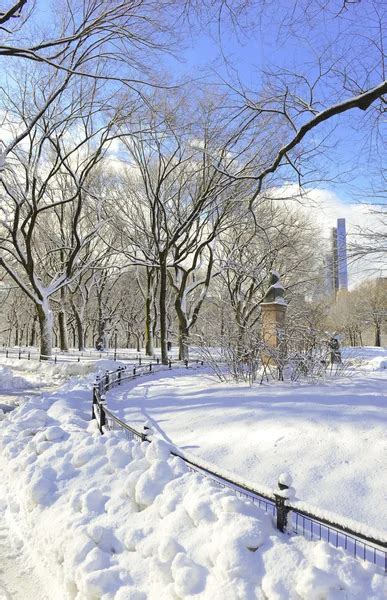 Manhattan In The Snow Central Park During A Winter Blizzard New York